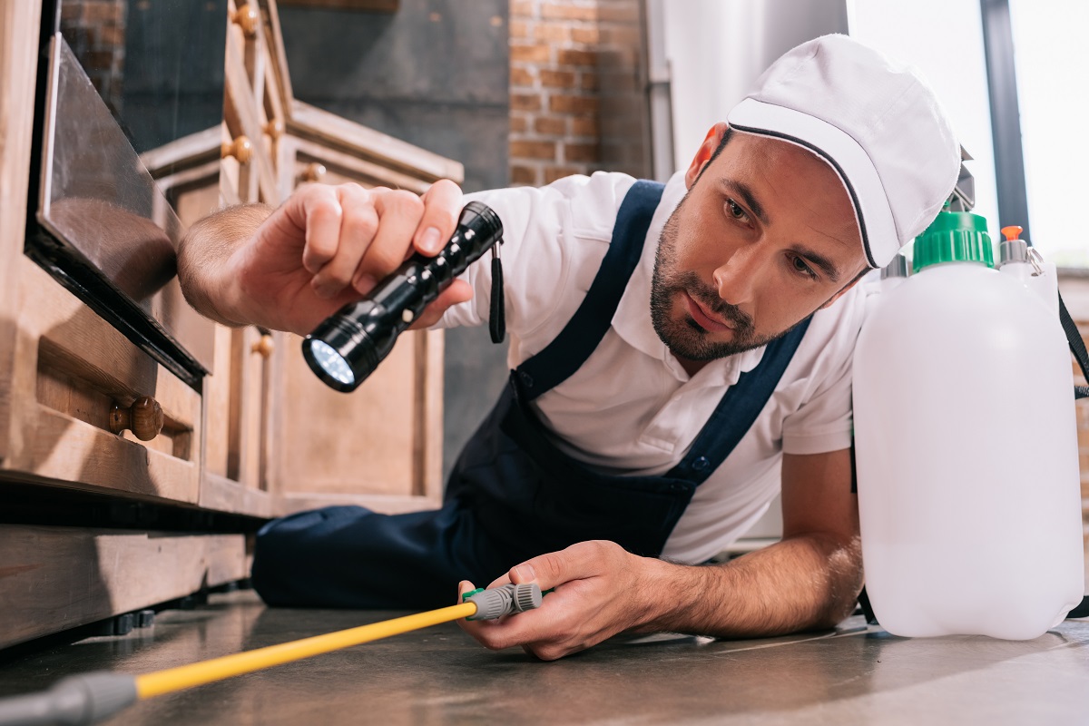 Bi-Monthly or Quarterly Pest Control Maintenance: Which is Right for You?