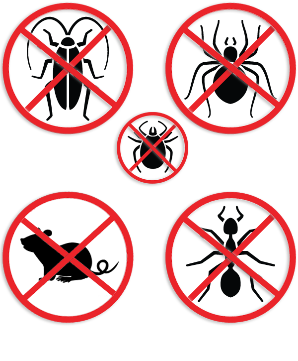 plus-pest-protection-icons-rock-pest