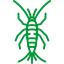 Silverfish Control 