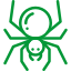 Spider Control