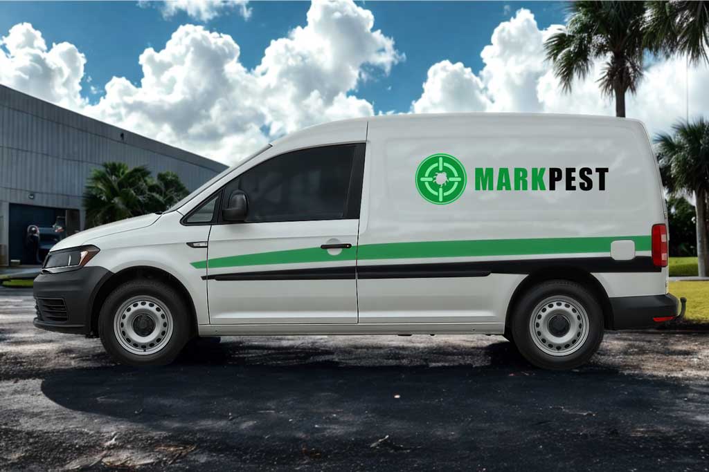 bed bugs inspection jacksonville