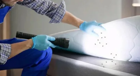 A gloved technician inspects dark specks beneath a mattress cover using a black tool for effective bed bug control and infestation detection.