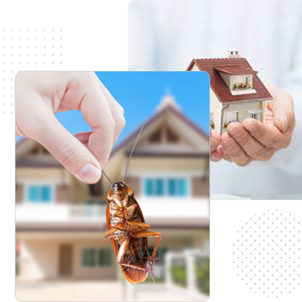 Pest-control-img